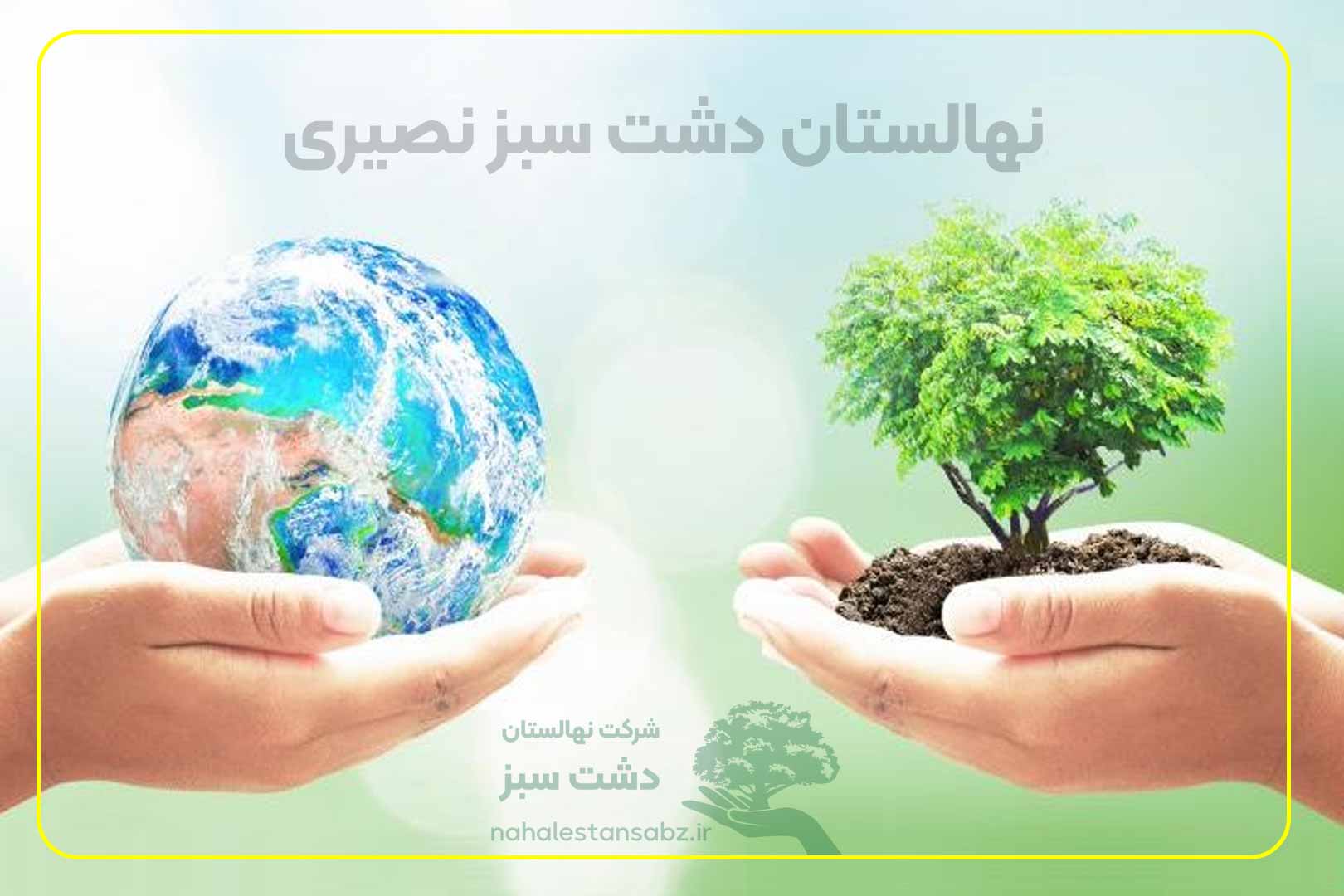 nahal-dasht-نهالستان-دشت-سبز-نصیری-تولید-فروش-خرید-عرضه-انواع-نهال-درخت-درختچه-جاله-جایی-درختان-بند-دار-قطور-تنومند-ایران-sabz-iran