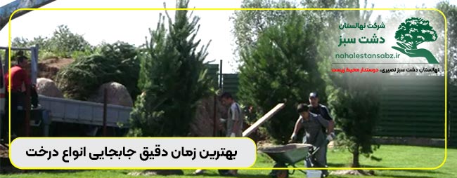 163-moving-all-قیمت-و-هزینه-انتقال-درخت-زمان-جابجایی-انواع-درخت-میوه-جوان-و-سن-بالا-trees انواع درخت, انواع درخت افرا, انواع درخت بید, انواع درخت توت, انواع درخت چنار, انواع درخت سرو, انواع درخت کاج, انواع درخت میوه, انواع درخت نخل, انواع درخت ها, بهترین زمان جابجایی درخت, بهترین زمان جابجایی درخت انجیر, بهترین زمان جابجایی درخت انگور, بهترین زمان جابجایی درخت کاج, بهترین زمان جابجایی درخت گردو, بهترین زمان جابجایی درخت میوه, بهترین زمان جابجایی درختان میوه, بهترین زمان کاشت درخت میوه, بهترین فصل جابجایی انواع درخت انجیر, بهترین فصل جابجایی انواع درخت انگور, بهترین فصل جابجایی انواع درخت بادام, بهترین فصل جابجایی انواع درخت پرتقال, بهترین فصل جابجایی انواع درخت توت, بهترین فصل جابجایی انواع درخت کاج, بهترین فصل جابجایی انواع درخت گردو, بهترین فصل جابجایی انواع درخت گلابی, بهترین فصل جابجایی انواع درخت میوه, بهترین فصل جابجایی انواع درختان میوه, بهترین فصل جابجایی درخت, بهترین فصل کاشت درخت, بهترین فصل کاشت درخت انگور, بهترین فصل کاشت درخت میوه, پیمانکاری درخت اصفهان, پیمانکاری درخت ایران, جابجایی انواع درخته, جابجایی انواع درختی, جایگزین درخت خشک شده به انگلیسی, جایگزین درخت خشک شده تزیینی, جایگزین درخت خشک شده خیابان ولیعصر, جایگزین درخت خشک شده در خواب, جایگزین درخت خشک شده در خواب دیدن, جایگزین درخت خشک شده در فال قهوه, جایگزین درخت خشک شده عکس, جایگزین درخت خشک شده نقاشی, جایگزین درخت خشک شده ولیعصر, دلیل جابجایی درخته, دلیل جابجایی درختی, روش تضمینی جابجایی درخت انار, روش تضمینی جابجایی درخت انگور, روش تضمینی جابجایی درخت پسته, روش تضمینی جابجایی درخت گردو, روش تضمینی جابجایی درخت نارنج, روش تضمینی جابجایی درخت نخل, روش تضمینی جابجایی درختان, روش تضمینی جابجایی درختان بزرگ, روش تضمینی جابجایی درختان میوه, زمان کاشت انواع درخت میوه, شرکت انتقال درختانا, شرکت انتقال درختانی, شرکت جابجایی درختان بزرگ, شرکت درخت الماس سبز, شرکت درخت الماس سبز کرمان, شرکت درخت سبز, شرکت درخت سبز ام دی اف, شرکت درخت سبز چهاردانگه, شرکت درخت سبز چوبینه, شرکت درخت سبز صحرا, شرکت درخت سپید, شرکت درخت سیم اسنوا, شرکت درختانا, شرکت درختانی, شرکت درختم قران, شرکت نهالستان, شرکت نهالستان اصفهان, شرکت نهالستان دشت سبز مصری, شرکت نهالستان دشت سبزی, شرکت نهالستان سبزه, شرکت نهالستان سبزوار, شرکت نهالستان سبزی, شرکت نهالستان گهربار شرق, شرکت نهالستانی, علت جابجایی درخت اصفهان, علت جابجایی درخت شیراز, علت جابجایی درختان میوه, علت کاشت درخت کاج, فصل جابجایی انواع درخت ازگیل, فصل جابجایی انواع درخت انار, فصل جابجایی انواع درخت انجیر, فصل جابجایی انواع درخت انگور, فصل جابجایی انواع درخت پرتقال, فصل جابجایی انواع درخت خرما, فصل جابجایی انواع درخت زیتون, فصل جابجایی انواع درخت کاج, فصل جابجایی انواع درخت موز, فصل جابجایی انواع درخت نخل, لیست انواع درخت میوه, لیست انواع درخت میوه برای باغ, لیست انواع درختان, لیست انواع درختان میوه, لیست انواع نهال, لیست انواع نهال میوه, لیست انواع نهال هلو, لیست انواع نهاله, لیست انواع نهالی, لیست قیمت انواع نهال, لیست قیمت انواع نهال پسته, نام انواع درخت, نام انواع درخت خرما, نام انواع درخت سرو, نام انواع درخت شلیل, نام انواع درخت کاج, نام انواع درخت گردو, نهالستان, نهالستان 110 شیراز, نهالستان ارومیه, نهالستان بهمن ابادی, نهالستان تهران, نهالستان جهاد دانشگاهی کرج, نهالستان رضوی, نهالستان شرکت فجر اصفهان, نهالستان عباس سهرابی, نهالستان کرج, نهالستان مشهد, هزینه جابجایی درخت, هزینه جابجایی درخت در اصفهان, هزینه جابجایی درخت در مازندران, هزینه جابجایی درخت درمان, هزینه جابجایی درخت دره, هزینه جابجایی درخت درهم, هزینه جابجایی درخت دریا, هزینه جابجایی درختان در ایران, هزینه جابجایی درختان در تهران, هزینه جابجایی درخته, هزینه جابجایی درختی, هزینه کاشت درخت, هزینه کاشت درخت بلوط در زاگرس, هزینه کاشت درخت پالونیا, هزینه کاشت درخت در زاگرس, هزینه کاشت درخت گردو, هزینه کاشت درخت هدیه