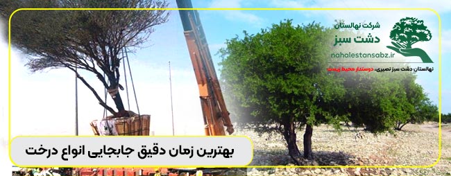 بهترین فصل و زمان برای انتقال انواع درخت، هزینه نقل درختان سن دار و بن بالا، تعرفه و هزینه، تحريك الشجرة فی شماره تلفن شرکت پیمانکاری نهالستان نصیری 09131641300 انواع درخت, انواع درخت افرا, انواع درخت بید, انواع درخت توت, انواع درخت چنار, انواع درخت سرو, انواع درخت کاج, انواع درخت میوه, انواع درخت نخل, انواع درخت ها, بهترین زمان جابجایی درخت, بهترین زمان جابجایی درخت انجیر, بهترین زمان جابجایی درخت انگور, بهترین زمان جابجایی درخت کاج, بهترین زمان جابجایی درخت گردو, بهترین زمان جابجایی درخت میوه, بهترین زمان جابجایی درختان میوه, بهترین زمان کاشت درخت میوه, بهترین فصل جابجایی انواع درخت انجیر, بهترین فصل جابجایی انواع درخت انگور, بهترین فصل جابجایی انواع درخت بادام, بهترین فصل جابجایی انواع درخت پرتقال, بهترین فصل جابجایی انواع درخت توت, بهترین فصل جابجایی انواع درخت کاج, بهترین فصل جابجایی انواع درخت گردو, بهترین فصل جابجایی انواع درخت گلابی, بهترین فصل جابجایی انواع درخت میوه, بهترین فصل جابجایی انواع درختان میوه, بهترین فصل جابجایی درخت, بهترین فصل کاشت درخت, بهترین فصل کاشت درخت انگور, بهترین فصل کاشت درخت میوه, پیمانکاری درخت اصفهان, پیمانکاری درخت ایران, جابجایی انواع درخته, جابجایی انواع درختی, جایگزین درخت خشک شده به انگلیسی, جایگزین درخت خشک شده تزیینی, جایگزین درخت خشک شده خیابان ولیعصر, جایگزین درخت خشک شده در خواب, جایگزین درخت خشک شده در خواب دیدن, جایگزین درخت خشک شده در فال قهوه, جایگزین درخت خشک شده عکس, جایگزین درخت خشک شده نقاشی, جایگزین درخت خشک شده ولیعصر, دلیل جابجایی درخته, دلیل جابجایی درختی, روش تضمینی جابجایی درخت انار, روش تضمینی جابجایی درخت انگور, روش تضمینی جابجایی درخت پسته, روش تضمینی جابجایی درخت گردو, روش تضمینی جابجایی درخت نارنج, روش تضمینی جابجایی درخت نخل, روش تضمینی جابجایی درختان, روش تضمینی جابجایی درختان بزرگ, روش تضمینی جابجایی درختان میوه, زمان کاشت انواع درخت میوه, شرکت انتقال درختانا, شرکت انتقال درختانی, شرکت جابجایی درختان بزرگ, شرکت درخت الماس سبز, شرکت درخت الماس سبز کرمان, شرکت درخت سبز, شرکت درخت سبز ام دی اف, شرکت درخت سبز چهاردانگه, شرکت درخت سبز چوبینه, شرکت درخت سبز صحرا, شرکت درخت سپید, شرکت درخت سیم اسنوا, شرکت درختانا, شرکت درختانی, شرکت درختم قران, شرکت نهالستان, شرکت نهالستان اصفهان, شرکت نهالستان دشت سبز مصری, شرکت نهالستان دشت سبزی, شرکت نهالستان سبزه, شرکت نهالستان سبزوار, شرکت نهالستان سبزی, شرکت نهالستان گهربار شرق, شرکت نهالستانی, علت جابجایی درخت اصفهان, علت جابجایی درخت شیراز, علت جابجایی درختان میوه, علت کاشت درخت کاج, فصل جابجایی انواع درخت ازگیل, فصل جابجایی انواع درخت انار, فصل جابجایی انواع درخت انجیر, فصل جابجایی انواع درخت انگور, فصل جابجایی انواع درخت پرتقال, فصل جابجایی انواع درخت خرما, فصل جابجایی انواع درخت زیتون, فصل جابجایی انواع درخت کاج, فصل جابجایی انواع درخت موز, فصل جابجایی انواع درخت نخل, لیست انواع درخت میوه, لیست انواع درخت میوه برای باغ, لیست انواع درختان, لیست انواع درختان میوه, لیست انواع نهال, لیست انواع نهال میوه, لیست انواع نهال هلو, لیست انواع نهاله, لیست انواع نهالی, لیست قیمت انواع نهال, لیست قیمت انواع نهال پسته, نام انواع درخت, نام انواع درخت خرما, نام انواع درخت سرو, نام انواع درخت شلیل, نام انواع درخت کاج, نام انواع درخت گردو, نهالستان, نهالستان 110 شیراز, نهالستان ارومیه, نهالستان بهمن ابادی, نهالستان تهران, نهالستان جهاد دانشگاهی کرج, نهالستان رضوی, نهالستان شرکت فجر اصفهان, نهالستان عباس سهرابی, نهالستان کرج, نهالستان مشهد, هزینه جابجایی درخت, هزینه جابجایی درخت در اصفهان, هزینه جابجایی درخت در مازندران, هزینه جابجایی درخت درمان, هزینه جابجایی درخت دره, هزینه جابجایی درخت درهم, هزینه جابجایی درخت دریا, هزینه جابجایی درختان در ایران, هزینه جابجایی درختان در تهران, هزینه جابجایی درخته, هزینه جابجایی درختی, هزینه کاشت درخت, هزینه کاشت درخت بلوط در زاگرس, هزینه کاشت درخت پالونیا, هزینه کاشت درخت در زاگرس, هزینه کاشت درخت گردو, هزینه کاشت درخت هدیه 163-moving-all-قیمت-و-هزینه-جابجایی-درخت-زمان-جابجایی-انواع-درخت-میوه-جوان-و-سن-بالا-trees