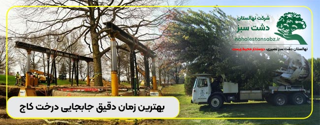 170-moving-بهترین-پیمانکار-کاج-بزرگ-بهترین-زمان-جابجایی-درخت-کاج-و-درختان-بزرگ-و-قطور-big-pine-tree can you move a pine tree, how do you move a pine tree without killing it, how to move a pine tree, moving large pine trees, moving the big tree cafe, moving the big tree cafe golf course road, moving the big tree cafe gurgaon, moving the big tree cafe menu, moving the big tree cafe nearest metro, moving the big tree cafe noida, moving the big tree cafe photos, moving the big tree pub, moving the big tree rockport, moving the big trees, moving the tree, moving tree gif, moving tree name, moving tree roots, moving trees by themselves, moving trees explained, moving trees in amazon forest, moving trees mystery, moving trees phenomenon, moving trees video, transplanting large pine trees, transplanting pine trees, بهترین جابجایی درخت کاجان, بهترین جابجایی درخت کاجه, بهترین جابجایی درخت کاجو, بهترین جابجایی درخت کاجی, بهترین زمان جابجایی درخت کاج, بهترین زمان کاشت درخت کاج, جابجایی درخت بزرگ, جابجایی درخت بزرگ گردو, جابجایی درخت بن بالانجليزي, جابجایی درخت بن بالانس, جابجایی درخت سن بالانجليزي, جابجایی درخت سن بالانس, جابجایی درخت کاج, جابجایی درختان بزرگ, جابجایی درختان بزرگ با دستگاه, جابجایی درختان بزرگ در ایران, جابجایی درختان بزرگ در تهران, روش جابجایی درخت, روش جابجایی درخت انگور, روش جابجایی درخت پسته, روش جابجایی درخت گردو, روش جابجایی درخت نخل, روش جابجایی درختان بزرگ, روش کاشت درخت, روش کاشت درخت انجیر, روش کاشت درخت انگور, روش کاشت درخت گردو, زمان جابجایی درخت بزرگ, زمان جابجایی درخت سرو, زمان جابجایی درخت کاج, زمان جابجایی درخت کاجی, زمان جابجایی درختان بزرگ, زمان جابجایی درختان بزرگ با دستگاه, زمان جابجایی درختان بزرگ در ایران, زمان جابجایی درختان بزرگ در تهران, زمان کاشت بذر درخت ابریشم مصری, زمان کاشت بذر درخت ارغوان, زمان کاشت بذر درخت افرا, زمان کاشت بذر درخت اقاقیا, زمان کاشت بذر درخت پالونیا, زمان کاشت بذر درخت خرمالو, زمان کاشت بذر درخت فردوسی, زمان کاشت درخت سرو, زمان کاشت درخت سرو شیراز, زمان کاشت درخت کاج, شجرة الصنوبر, شجرة الصنوبر الحلبي, شجرة الصنوبر بالانجليزي, شجرة الصنوبر بالفرنسية, شجرة الصنوبر في الثلج, شجرة الصنوبر في السعودية, شجرة الصنوبر في الفنجان, شجرة الصنوبر في المغرب, شجرة الصنوبر في المنام, شجرة الصنوبر وفوائده, شرکت جابجایی درختان بزرگ, طريقة نقل شجرة كبيرة, عملية نقل شجرة كبيرة, فصل جابجایی درخت کاج, فصل جابجایی درخت کاجی, فصل کاشت درخت سرو, فصل کاشت درخت کاج, قیمت جابجایی درخت بزرگان, قیمت جابجایی درخت بزرگتر, قیمت جابجایی درخت کاج بزرگ, قیمت جابجایی درخت کاج دیجی کالا, قیمت جابجایی درخت کاج طبیعی, قیمت جابجایی درخت کاج کریسمس طبیعی, قیمت جابجایی درخت کاج لاوسون, قیمت جابجایی درخت کاج مصنوعی کریسمس, قیمت جابجایی درخت کاج مطبق, قیمت جابجایی درخت کاجان, قیمت جابجایی درخت کاجو, قیمت جابجایی درخت کاجی, قیمت جابجایی درختان بزرگ, قیمت جابجایی درختان بزرگ با دستگاه, قیمت جابجایی درختان بزرگ در ایران, قیمت جابجایی درختان بزرگ در تهران, کاشت درخت بزرگ, کاشت درخت سن بالا, کاشت درخت سنا, کاشت درخت سنجد, کاشت درخت سنجد از هسته, کاشت درخت سنجد با هسته, کاشت درخت سنجد تلخ, کاشت درخت سنجد در خانه, کاشت درخت سنجد در خوزستان, کاشت درخت سنجد دیم, کاشت درخت سند دار, کاشت درخت صنوبر, کاشت درخت کاج, کاشت درخت کاج با دانه, کاشت درخت کاج در باغ, کاشت درخت کاج در گلدان, کاشت درخت کاج کریسمس, کاشت درخت کاج مطبق, کلیپ جابجایی درختان بزرگ, نحوه جابجایی درختان بزرگ, نقل شجرة الصنوبرا, نقل شجرة الصنوبري, نقل شجرة زيتون كبيرة, نقل شجرة كبيرة, نقل شجرة كبيرة الله, نقل شجرة كبيرة فی ایران, نقل شجرة كبيرة فیروز, نقل شجرة كبيرة فیروزه, نقل شجرة كبيرة فیس, نقل شجرة كبيرة فیلم, نقل شجرة ليمون كبيرة, نقل شجرة مانجو كبيرة, نکات جابجایی درخته, نکات جابجایی درختی, نکات کاشت درخت, نکات کاشت درخت انار, نکات کاشت درخت صنوبر, نکات کاشت درخت گردو, نکات مهم در جابجایی درخت, هل يمكن نقل شجرة كبيرة