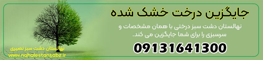 جایگزین درخت خشک شده ممکن است شما در باغ یا حیاط خانه خود، درخت خشک شده ای داشته باشید و میخواهید درختی دیگر با همان نوع و اندازه جایگزین کنید of-dry-and-green-treesجایگزین درخت خشک شده ممکن است شما در باغ یا حیاط خانه خود، درخت خشک شده ای داشته باشید و میخواهید درختی دیگر با همان نوع و اندازه جایگزین کنید. برای این کار با شرکت نهالستان دشت سبز با شماره ۰۹۱۳۱۶۴۱۳۰۰ تماس برقرار کنید. نهالستان دشت سبز درختی با همان مشخصات و سرسبزی را برای شما جایگزین می کند.